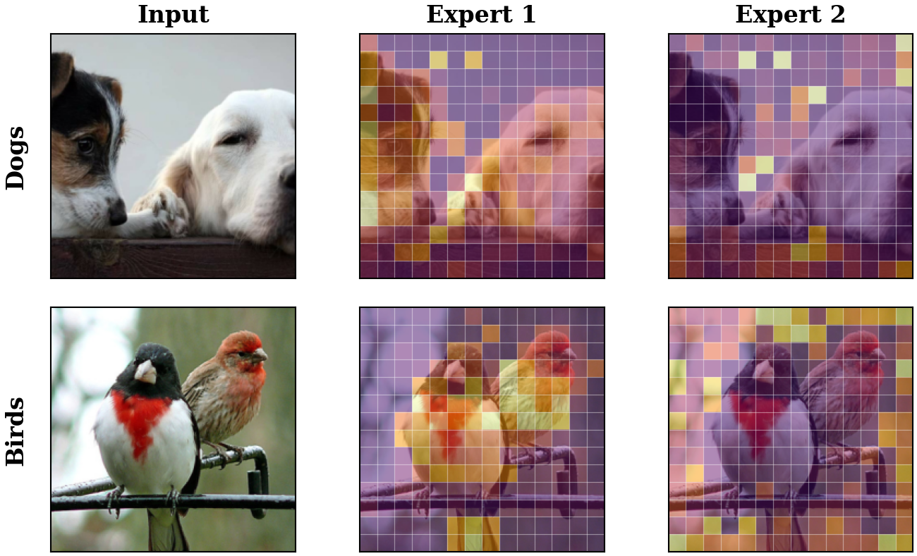 Per-patch loss-coupling, in plain words